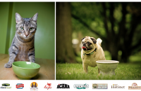Got Free Pet Food for 6 Months?