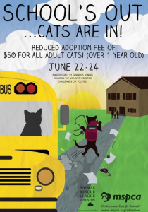 Cat Adoption Reduced Fee Event Poster
