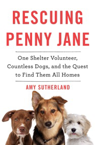 Rescuing Penny Jane Book Jacket
