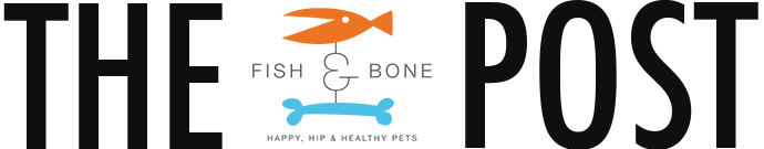 fish and bone pet store