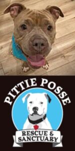 Pittie Posse Shayla and logo