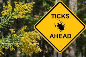 Ticks Ahead Trail Sign