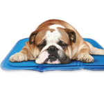 Cool Pet Pad