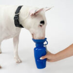 Springland Classic Dog Water Travel Bowl