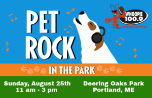 Pet Rock in the Park Image