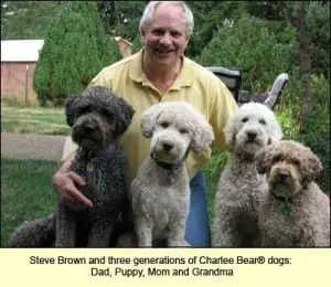 Steve and his dogs