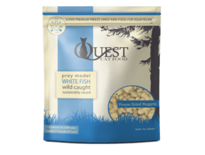 Steve's Real Food Quest for Cats